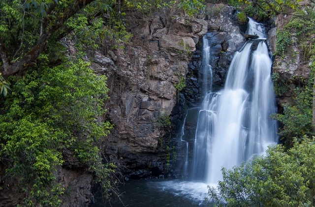 rincones en pleno bosque